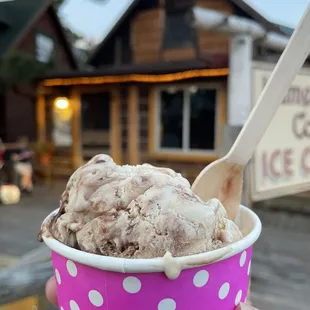 Jumping Jersey Cow ice cream