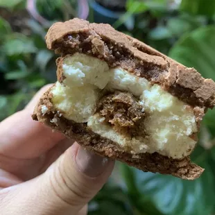 Tiramisu Macaron, this was yummy. The cocoa powder on the outside was a bit much-- but the cream and filling were to yummy to skip out on.