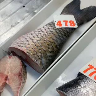 Hearty fish!