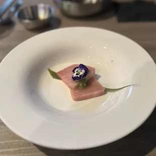 Toro sashimi