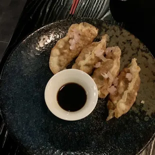 Fried Chicken Dumplings