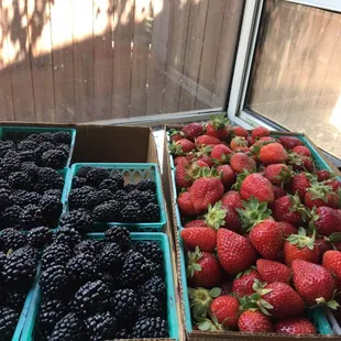 Blackberries &amp; strawberries