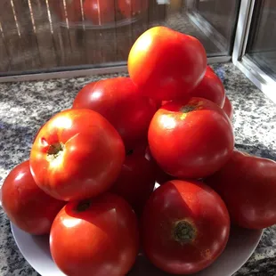 Fresh farm tomatoes
