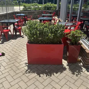 Outdoor dining area
