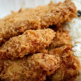 @numba.tree special 09.04.24 - Giant ahi katsu and jdori chicken katsu $22