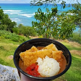 Udon Katsu Curry