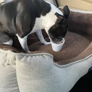 he gives them a 10 out of 10