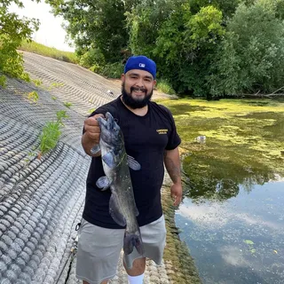 Bubba H.