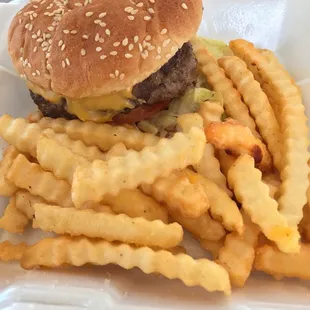 a hamburger and french fries