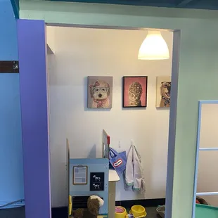 Time to take your pets to the vet!