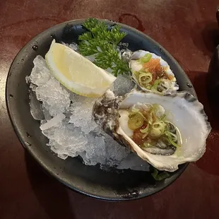 Kumamoto Oysters