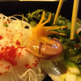 Scallop