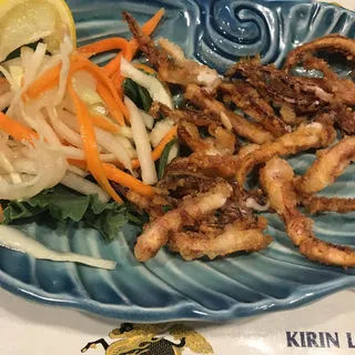 Squid