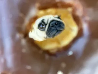 PANA Donuts Coffee & Boba Tea