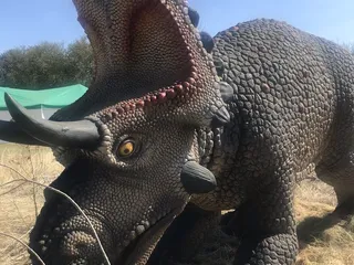 Prehistoric Park