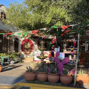 a street corner with potted plants