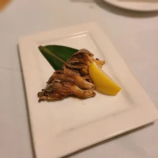 Shimeji- Oyster Mushrooms