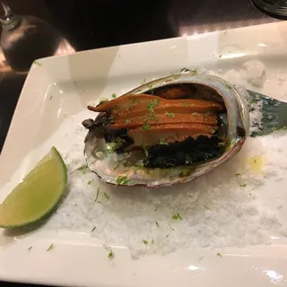 Abalone