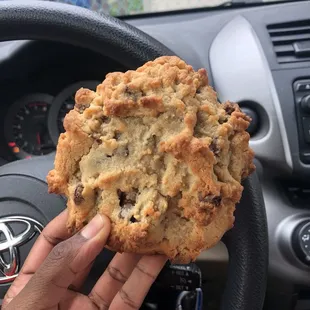 Chocolate chip cookie