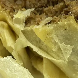 Yes! That's human hair in my burrito!