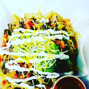 Asada fries