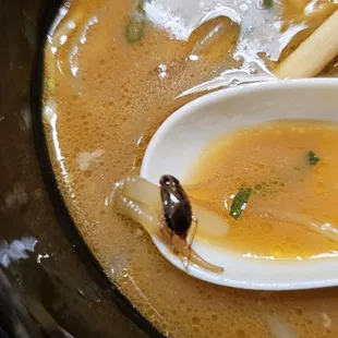 This place has ROACHES in their food!!