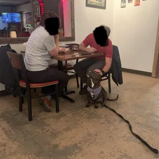 Fellow patrons giving the doggo his pets