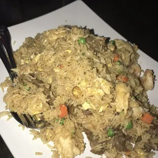Combination Nano Fried Rice