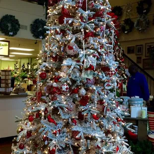 Thought of Mom for this one, snow and cardinals. No, she is not a Louisville Cards fan.