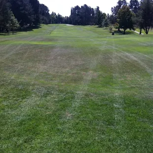 The 11th hole, a very long par 4.