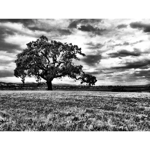 5.5.13 via Instagram: tlk13