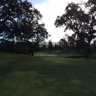 Hole 10 Signature Hole