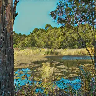 Napa River and Bay Trail