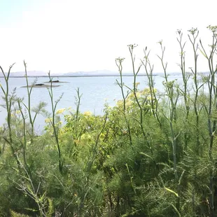 #Yelp #NapaSonomaMarshesWildlifeArea
