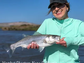 Wombat Charters