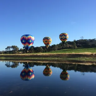Hot air balloon over Napa Valley