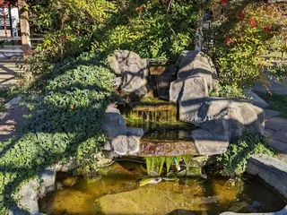 Vineyard RV Park