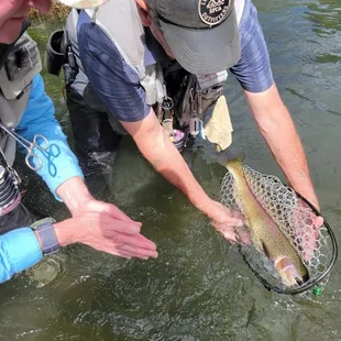 March on Putah Creek