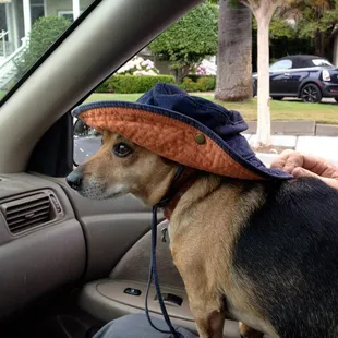 Meet Rusty as we head to the creek to go fishing