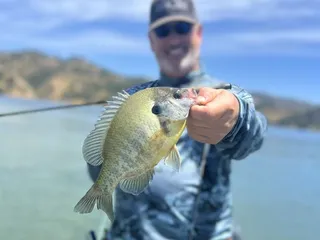 Off the Hook Fly Fishing