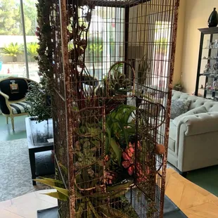 I bought artificial succulents and flowers to decorate an old bird cage.
