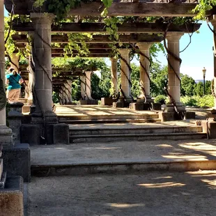 Ingelnook winery owned by Francis Ford Copula. Beautiful Estate and great wines.