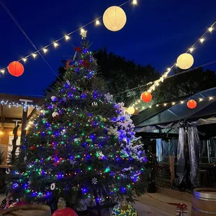 a decorated christmas tree in the evening