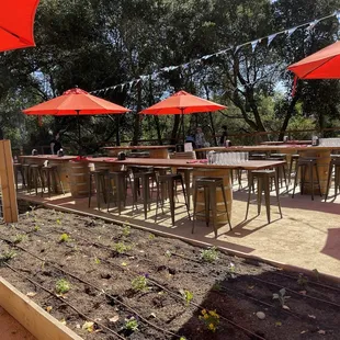 Outdoor seating under the sun at Napa Yard in Napa.