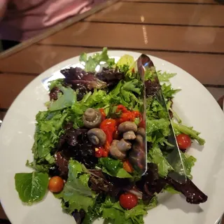 Family Garden Salad