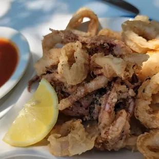 Calamari