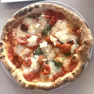 SORRENTINA