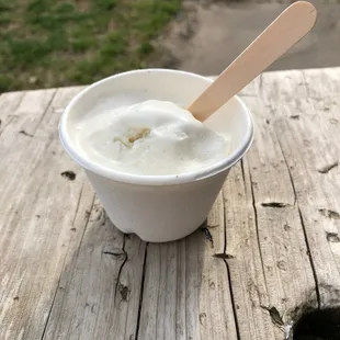 Scoop of cardamom gelato