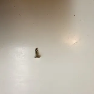 This is what we found in the steak sandwich