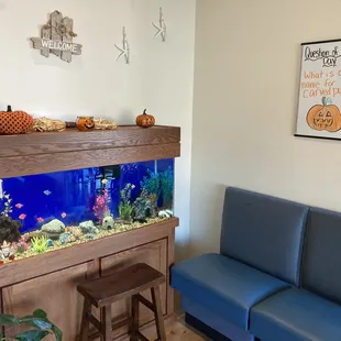 a fish tank in the corner of a restaurant
